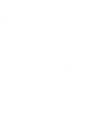 element