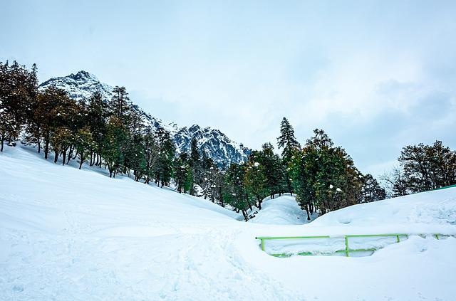 Trip to Manali